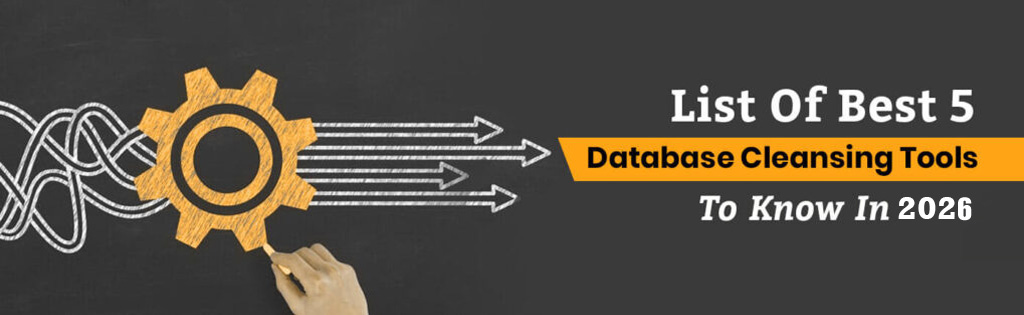 database cleansing tools